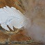thumbs/E5D_5064.jpg